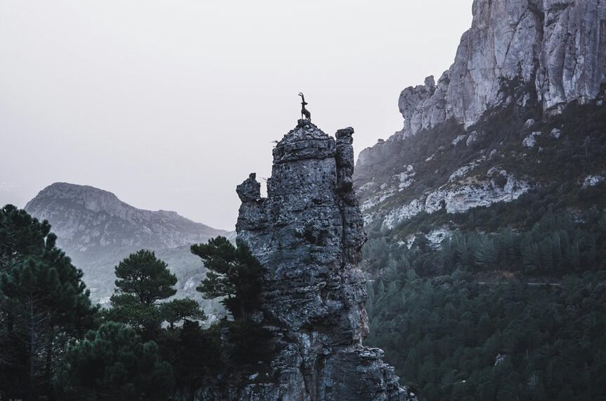 Cobalt Summit Rise – 1793514514