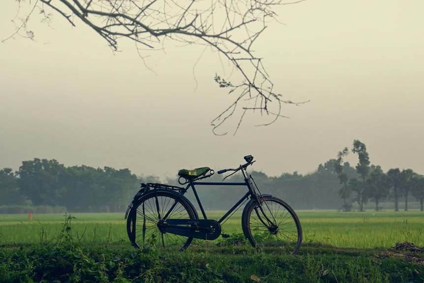 golden meadow loop trail