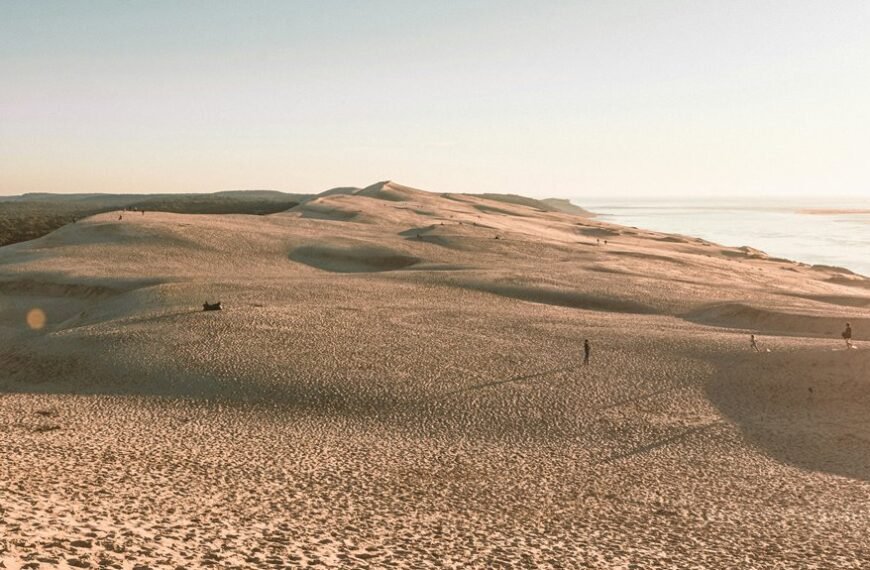 Golden Ridge Coast – 46051414