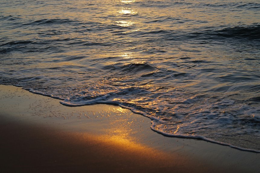 golden twilight trace 72376568