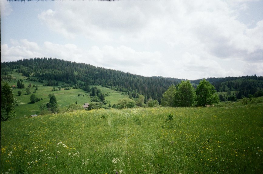 horizon meadow flux product