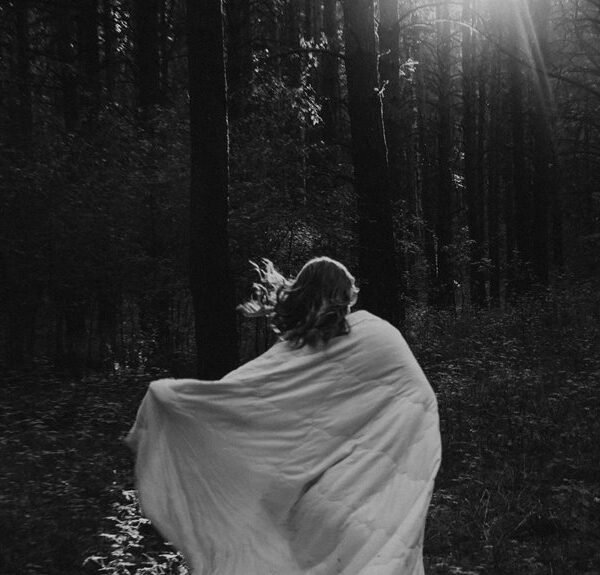 Shadow Echo Grove – 608333579