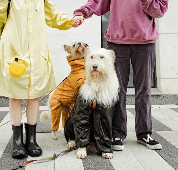pets and luxury lifestyle