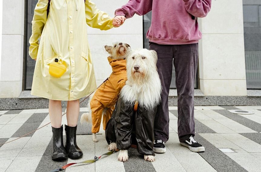 pets and luxury lifestyle